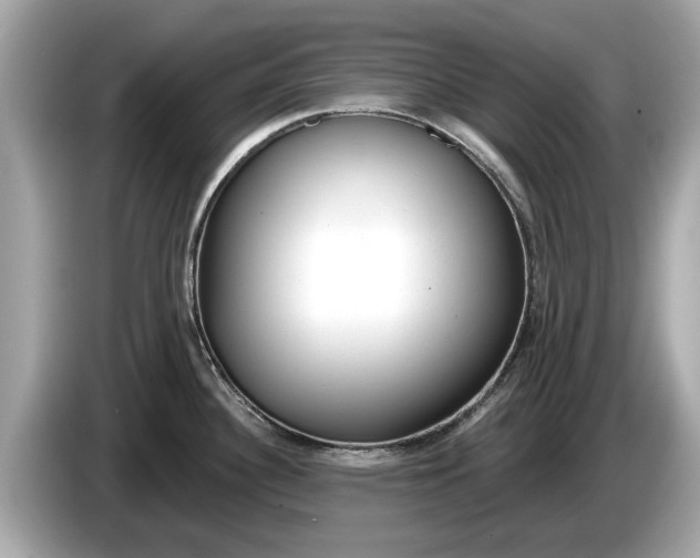 X0000085081340200703191315