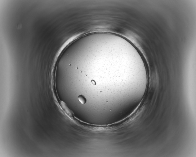 X0000085081341200703191315