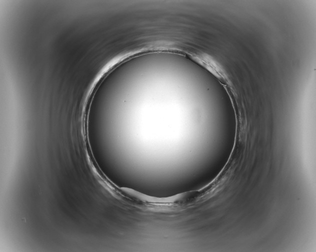 X0000085081342200703191315