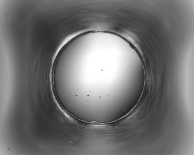 X0000085081343200703191315