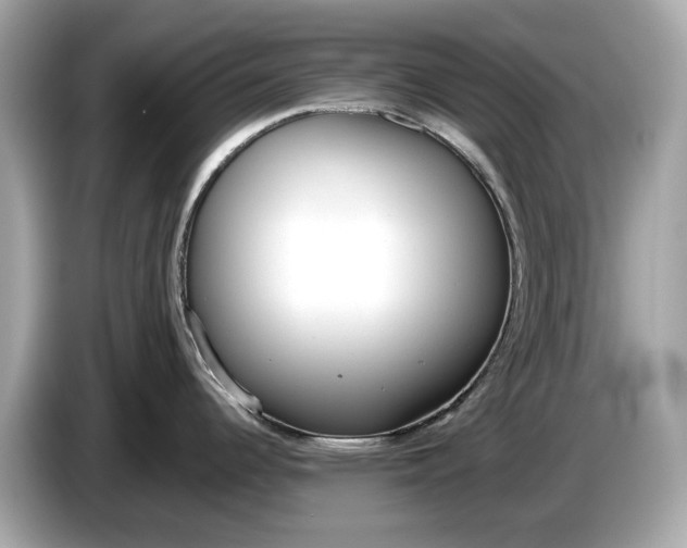 X0000085081344200703191315