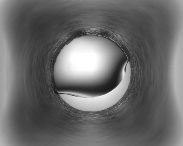 X0000085081345200703191314