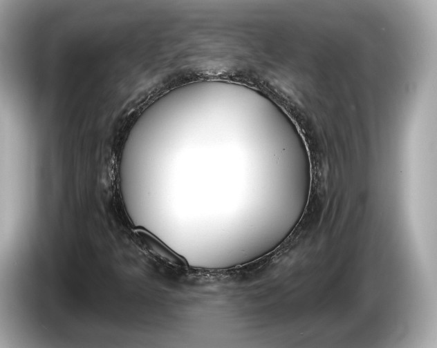 X0000085081349200703191314