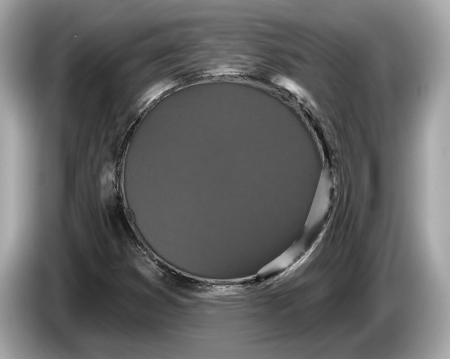 X0000085081353200703191314