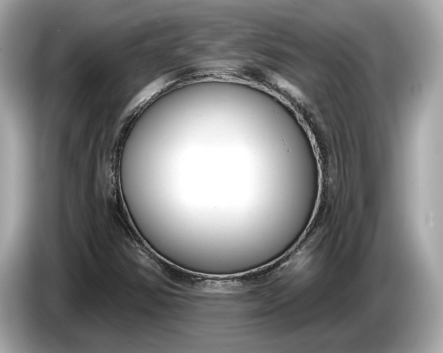 X0000085081354200703191314