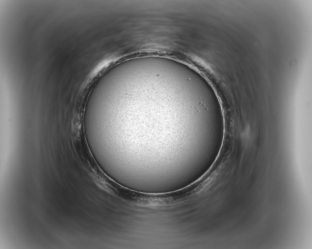 X0000085081355200703191314