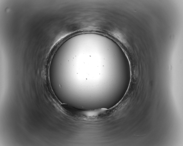 X0000085081356200703191314