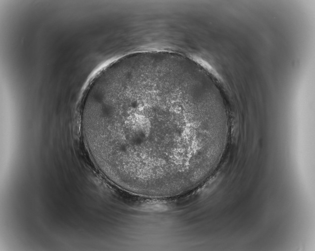 X0000085081358200703191314