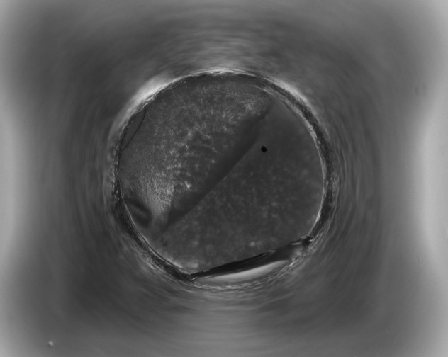 X0000085081359200703191314