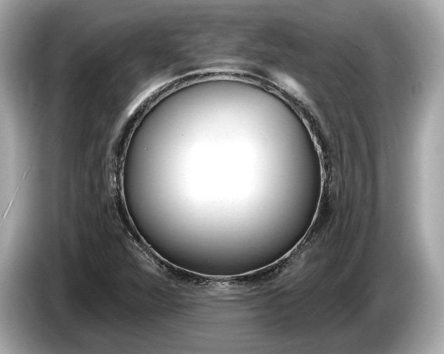 X0000085081360200703191314