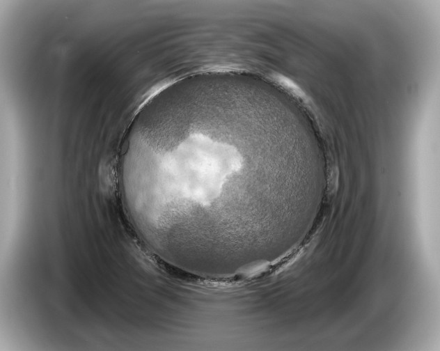 X0000085081361200703191314