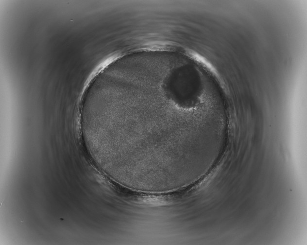 X0000085081362200703191314