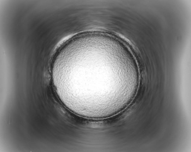 X0000085081363200703191314