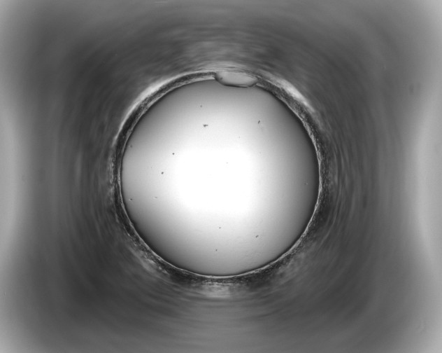 X0000085081364200703191314