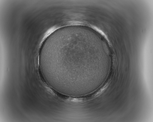 X0000085081365200703191314