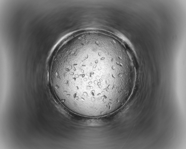 X0000085081368200703191314