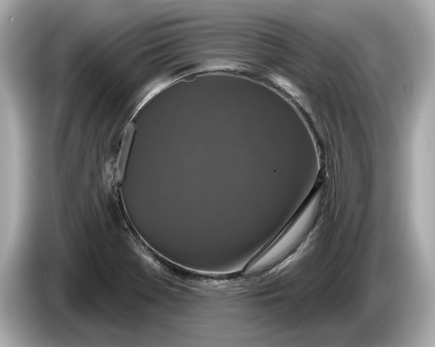 X0000085081369200703191314