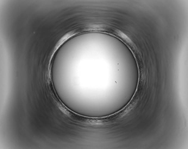 X0000085081370200703191314