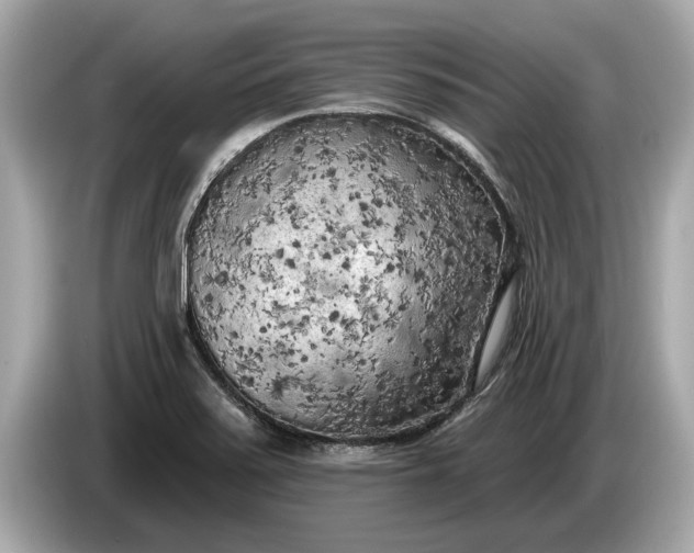 X0000085081371200703191314