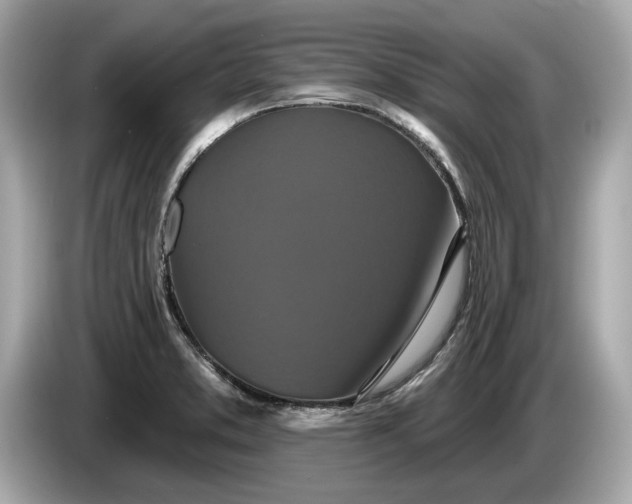 X0000085081373200703191314