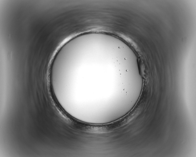 X0000085081375200703191314