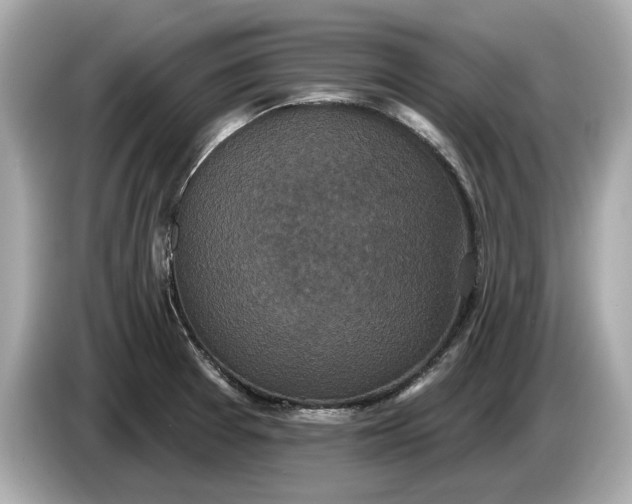 X0000085081377200703191314