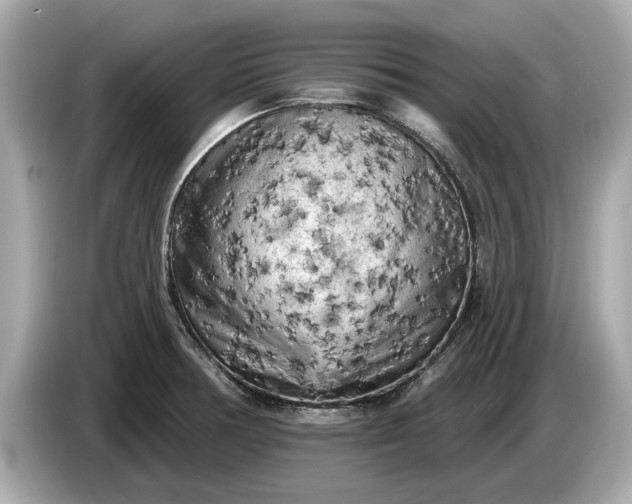 X0000085081378200703191314