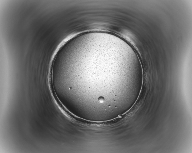 X0000085081379200703191314