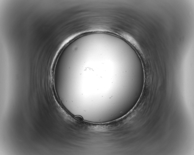 X0000085081380200703191314