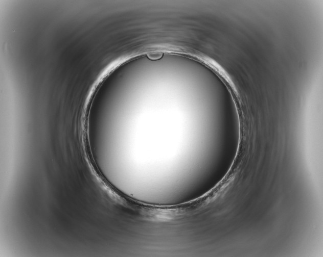 X0000085081381200703191314