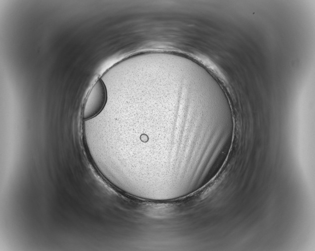 X0000085081382200703191314