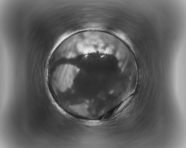 X0000085081383200703191314