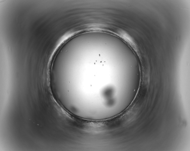 X0000085081384200703191314