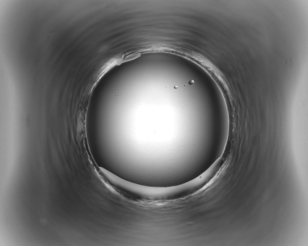 X0000085081385200703191314