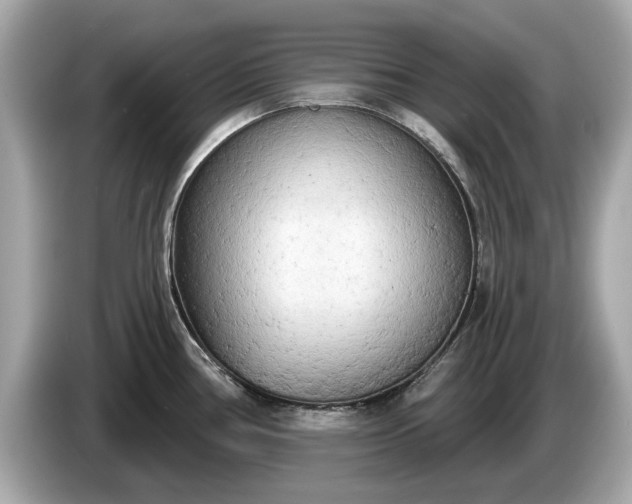 X0000085081386200703191314