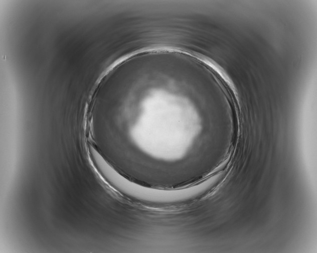 X0000085081388200703191314