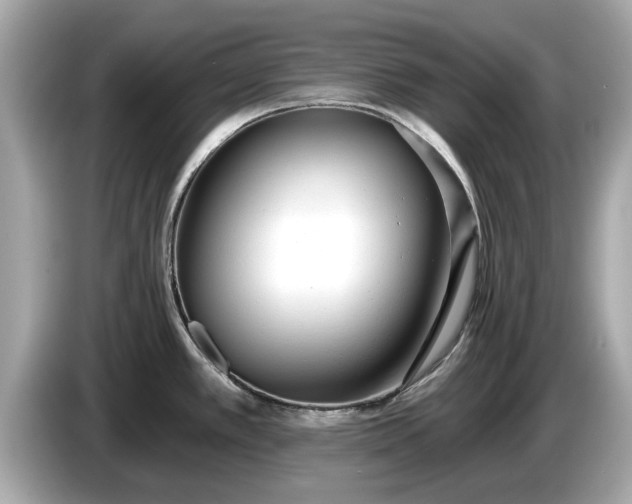 X0000085081389200703191314