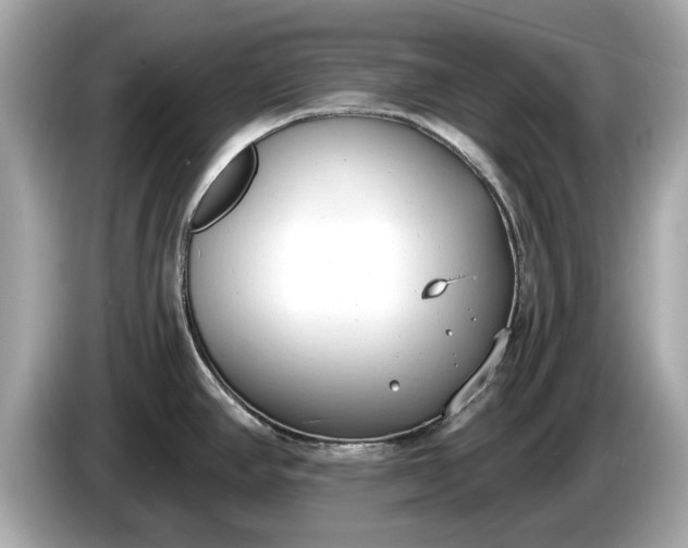 X0000085081390200703191314