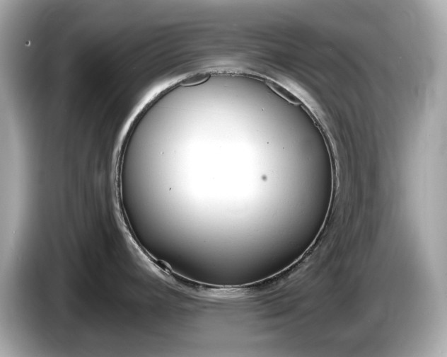 X0000085081392200703191314