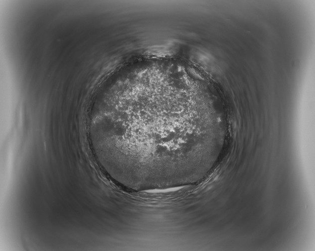 X0000085081393200703191313