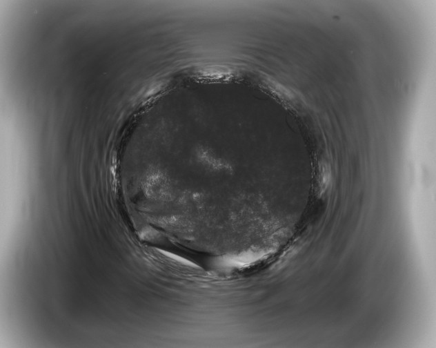 X0000085081394200703191313