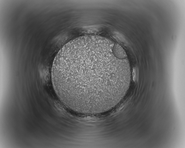 X0000085081395200703191313