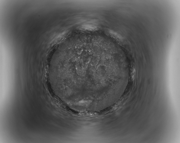 X0000085081397200703191313