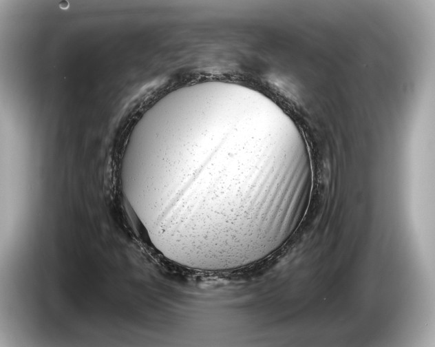 X0000085081398200703191313