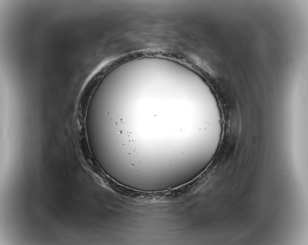 X0000085081400200703191313