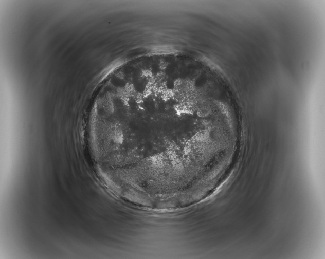 X0000085081401200703191313