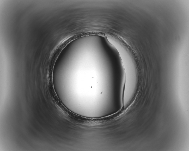 X0000085081402200703191313