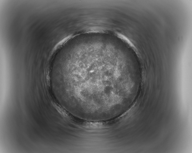 X0000085081403200703191313