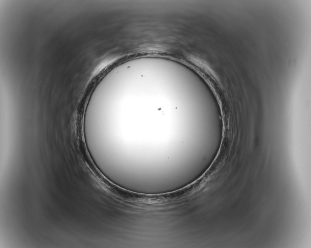 X0000085081404200703191313