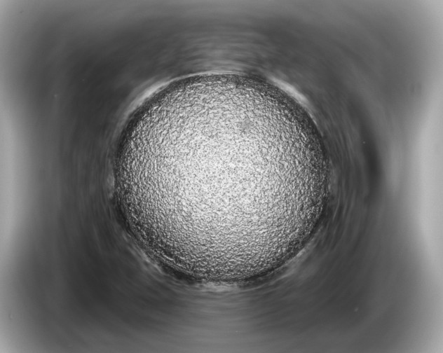 X0000085081407200703191313